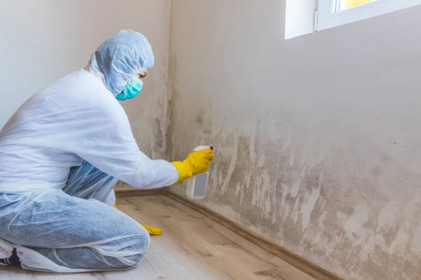 Mold inspector in Oreland performing thermal imaging